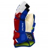 Gants Warrior LX 2